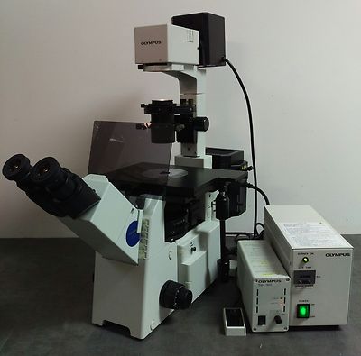 Olympus Microscope IX51 Inverted Fluorescence and Phase Contrast