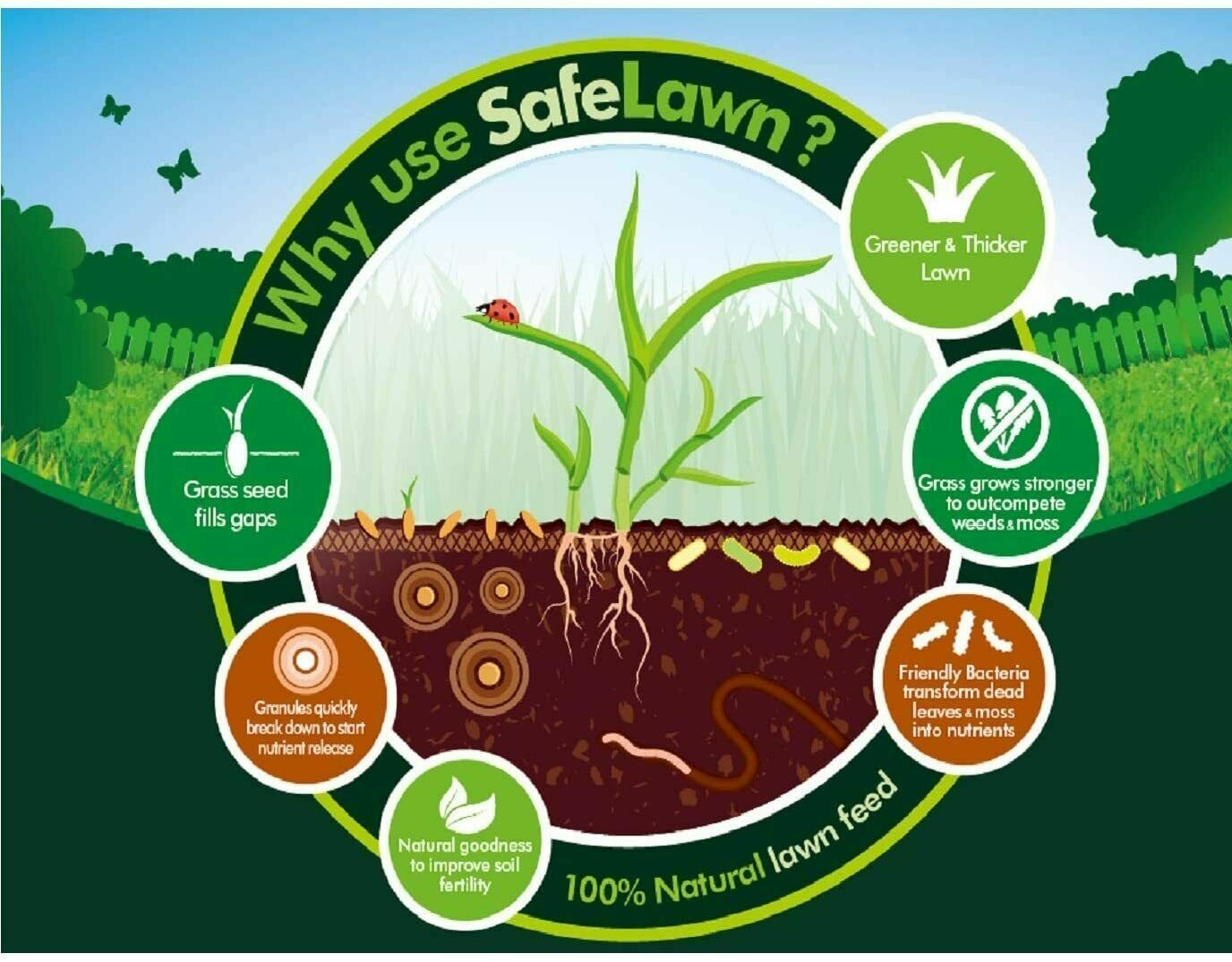 Westland Safe Lawn Friendly Weed And Moss Killer Grass Fertiliser Pet