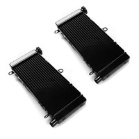 2X WasserküHler FüR Honda Hornet 600 98-06 Radiator KüHler Spar-Set