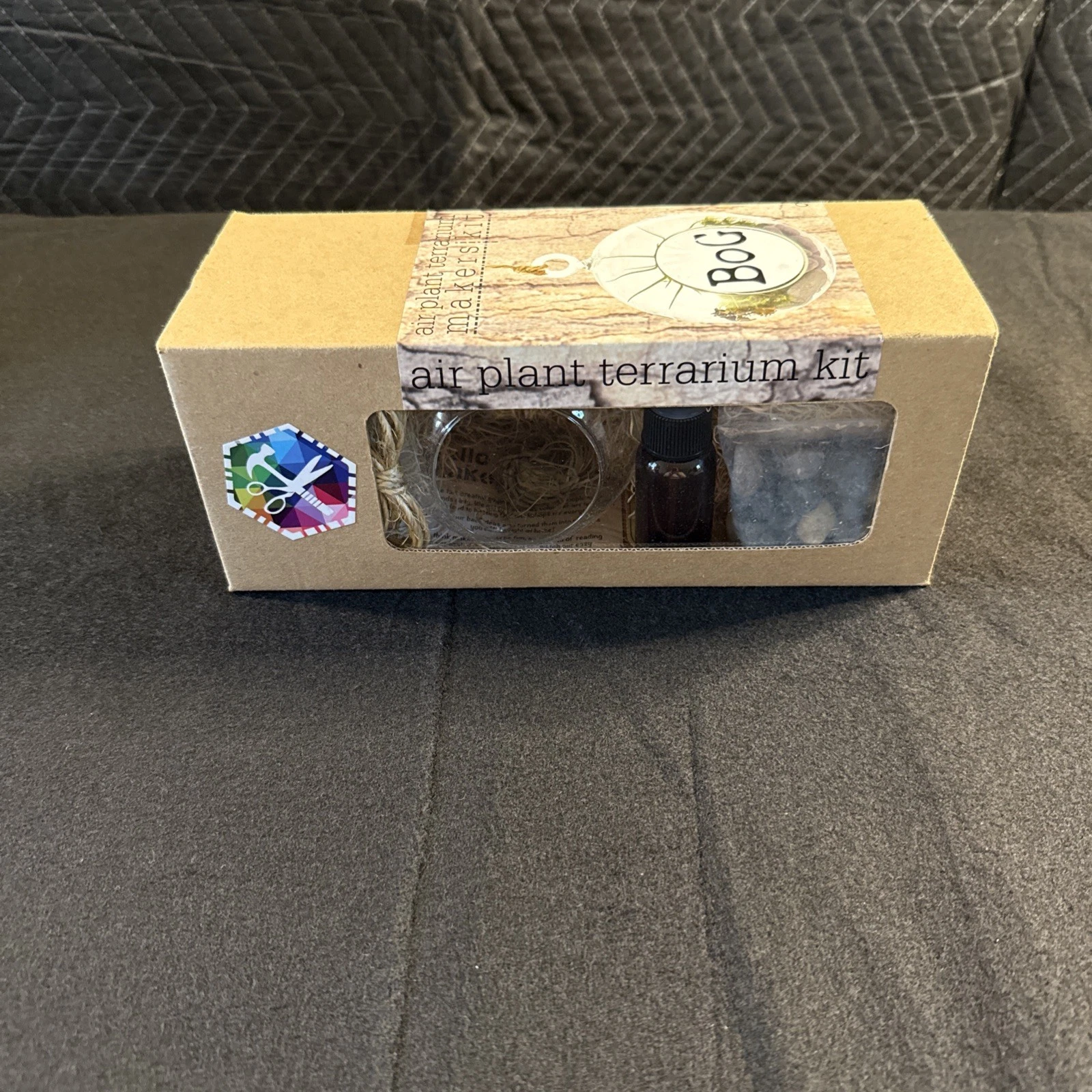 Air plant terrarium kit
