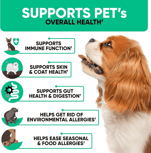 Natural Dog Allergy Chews for Dog Itch Tasty Allergy Relief Pet Supplement for - Picture 4 of 7