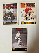 Rheaume, Granato, Whitten The Women of Pro Hockey 1994 Classic