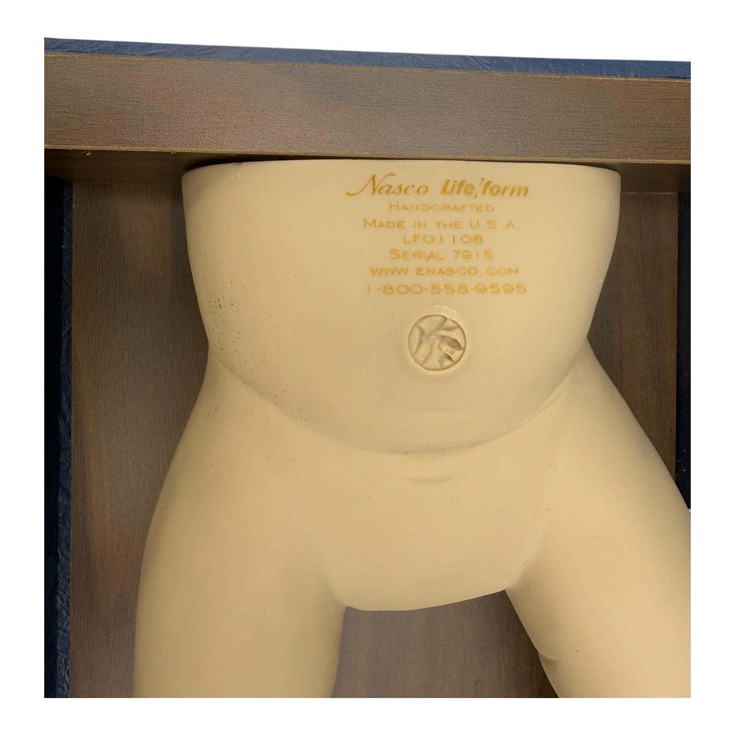 Nasco Life Form Replicas Life Form Simulator Kid Lower Trunk W Hard Case