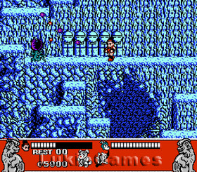 Conquest Of The Crystal Palace - NES Nintendo Game