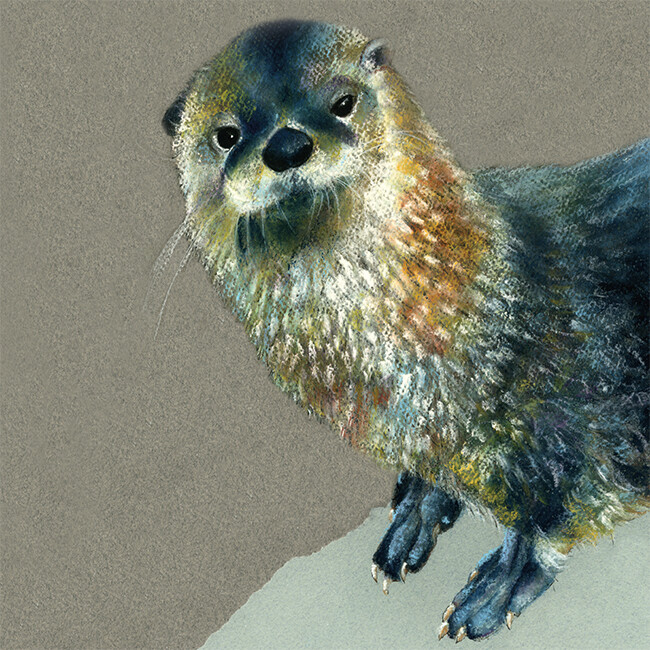 Ozzie The Otter Any Occasion Animal Art Greeting Card Blank Inside