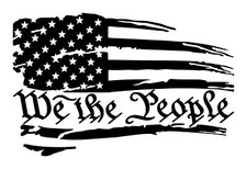 We The People US Flag Decal 1 5"x8.5" Choose Color