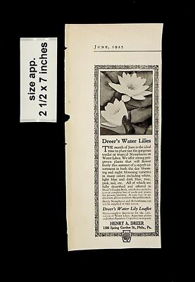 1925 Dreer's Water Lily Leaflet Vintage Print ad 14910