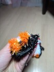 Bild 3 von 6