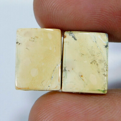 Natural Marvelous Maligano Jasper Pair Cushion Cabochon 14.50Cts. Loose Gemstone