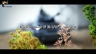 Video 1 von 1