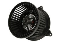 Thermotec InnenraumgebläSe HeizungsgebläSe FüR Ford Focus DAW DBW DNW BWY