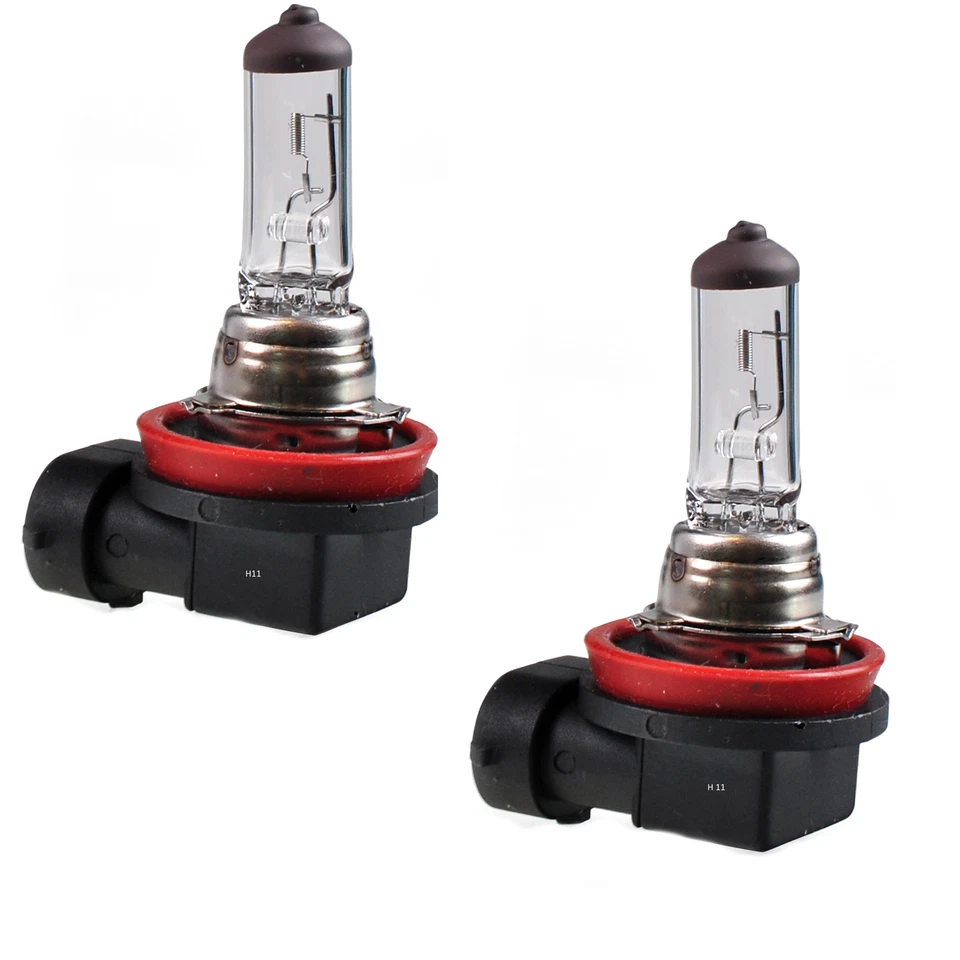 2 Stück 12V 55W H11 PGJ19-2 Halogen Glühlampe Autolampe Glühbirne Lampe T8w