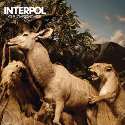 Interpol Our Love to Admire (CD) Album