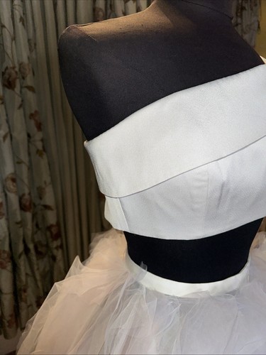 Sample Couture Runway Train Tulle Wedding Skirt And Crop Top Size 6-8 - Picture 4 of 15