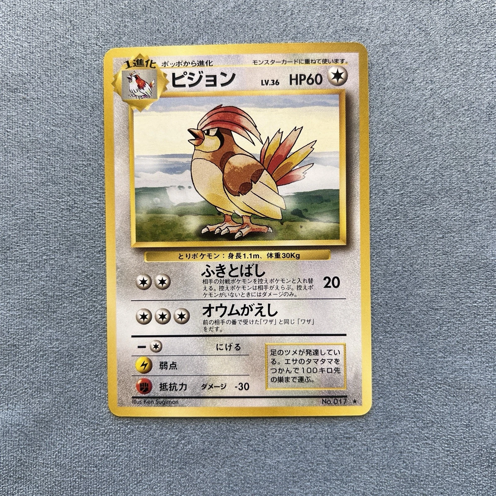 Pidgeotto No.017 1996 Base Set  Japanese Pokemon Card Rare NM