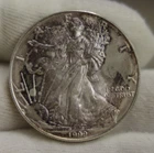 1999 US Silver Eagle $1 Nice Toning