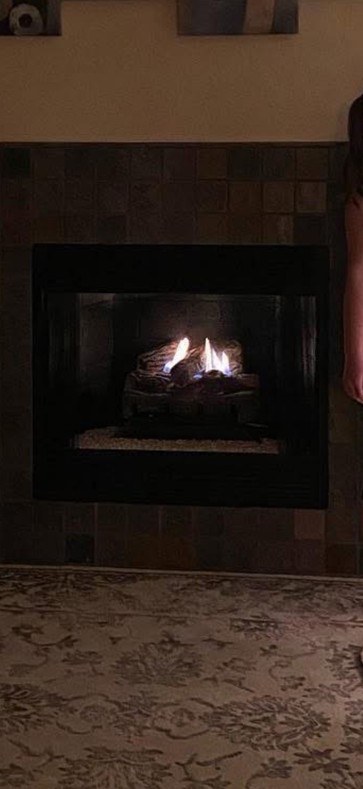 Gas Log Set/ Remote Burner