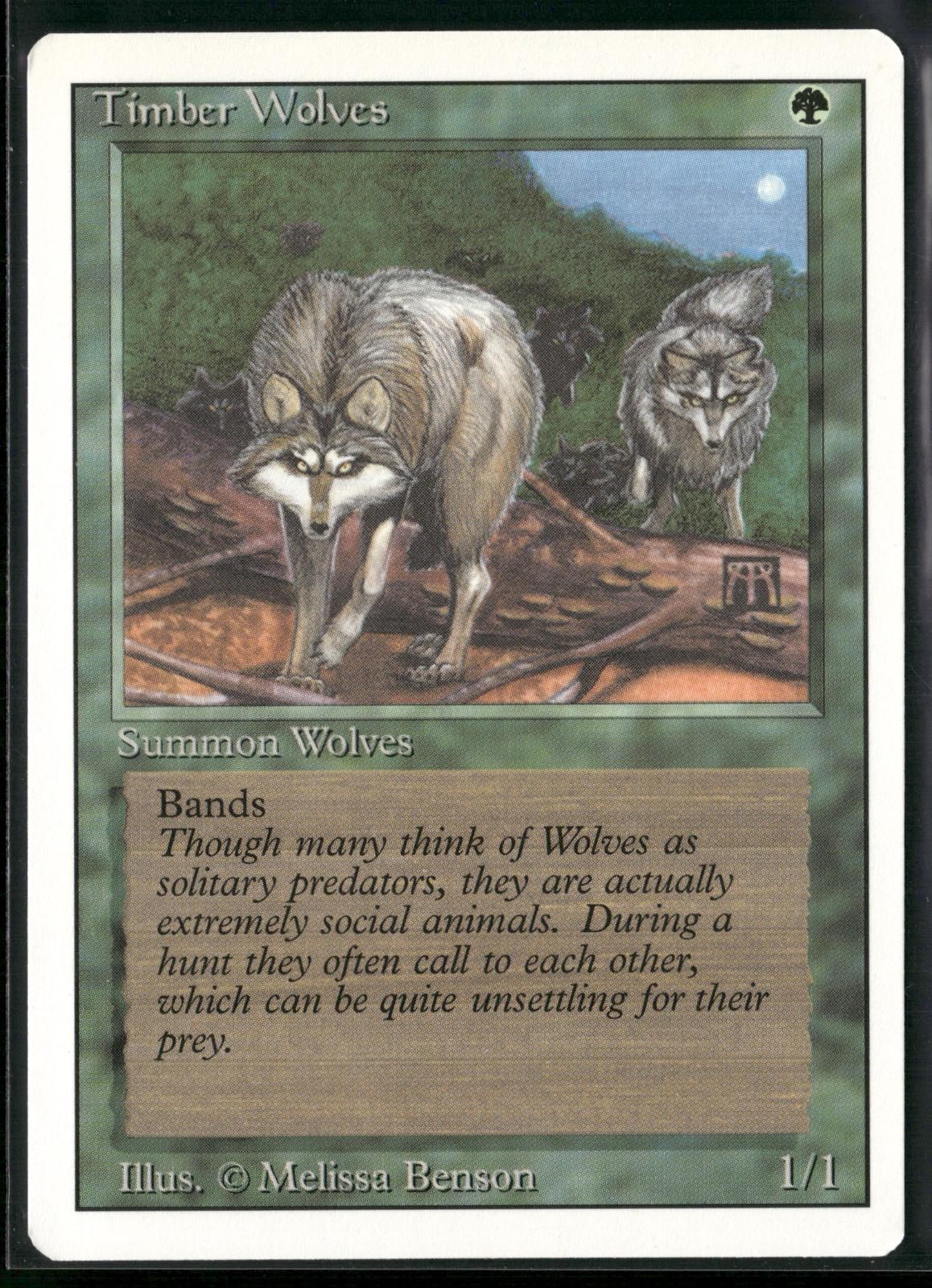 Timber Wolves Rare Revised Edition Magic: The Gathering Lightly Played
