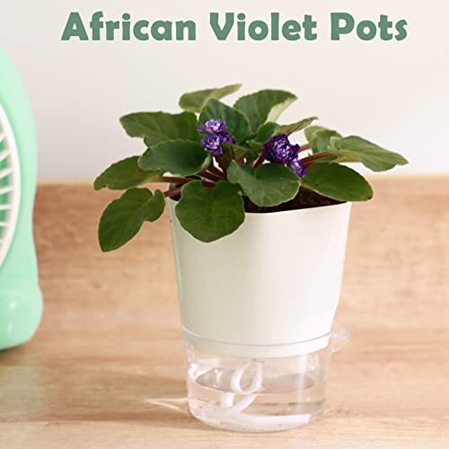 6 Pack Clear Plastic Self Watering African Violets Pots Flower Pot Planter