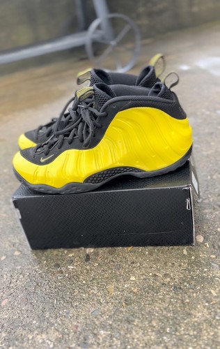 nike air foamposite ebay