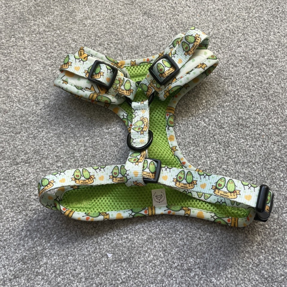 Avocado Dog Harness And Lead Small eBay