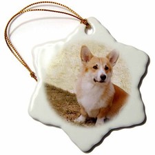 3dRose Pembroke Welsh Corgi 3 inch Snowflake Porcelain Ornament