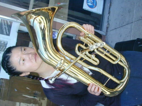 BerkeleyWind Bombardinos