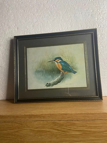 Vintage Kingfisher Framed Print Picture/Painting