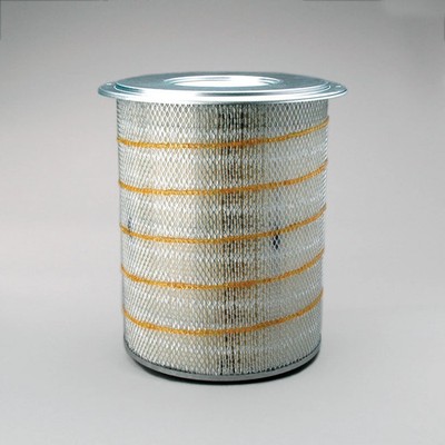 OEM Genie Part # P181099DFS   Air Filter