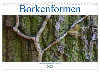 Borkenformen (Wandkalender 2026 DIN A4 quer), CALVENDO Monatskalender Stenner