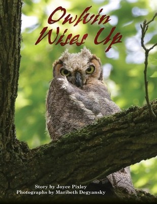 Owlvin Wises Up by Joyce Pixley Paperback Book