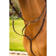 LeMieux Arika Running Martingale