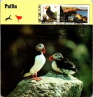 Dr Jim Stamps Maximum Card Tufted Puffins 86C Maine Forever Combo Fdc