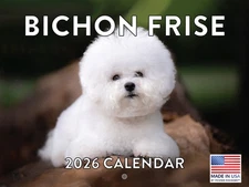Bichon Frise Calendar 2026 Monthly Wall Calender 12 Month