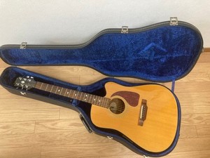 Epiphone Pr350 | eBay