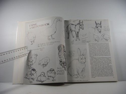 Sketch and Paint Techniques Animals and Wildlife HC Jean Parry-Williams art book - Picture 7 of 19