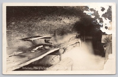 RPPC R-48 Interior, Tharp's Log, Sequoia National Park, Three Rivers, California