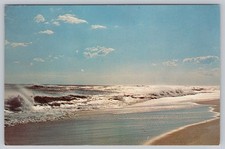 The Great South Beach, Robert Moses State Park, Fire Island NY New York Postcard