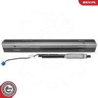 Esen Skv Elektromotor, Heckklappe Hinten, Rechts FüR Bmw
