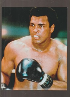 8X10 COLOR PHOTO OF CLOSE UP MUHAMAD ALI BEEFCAKE