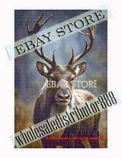 1000 piece jigsaw puzzle Deer stag rustic wilderness woodland wildlife