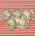 BUFFALO INDIAN Head Nickel FULL DATES  All Different  3 Mints  3 Years  Lot of 5