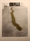 Foto 1 di 5