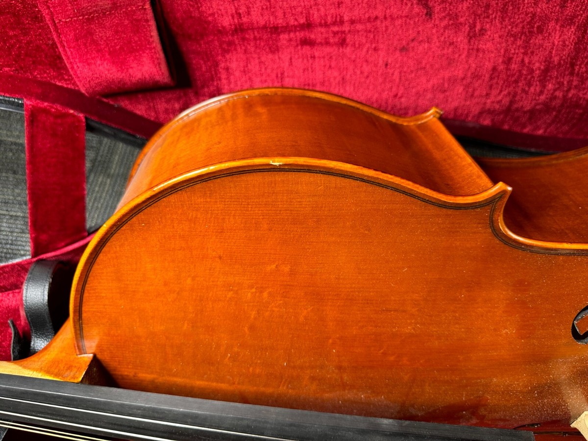 Eastman Strings ES Cello 4/4 Size Concert Model *CRACKED
