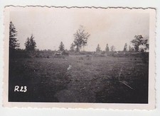 55953 Foto Wehrmacht Deutsche Panzer Sturmgesch&uuml;tze im 2. Weltkrieg