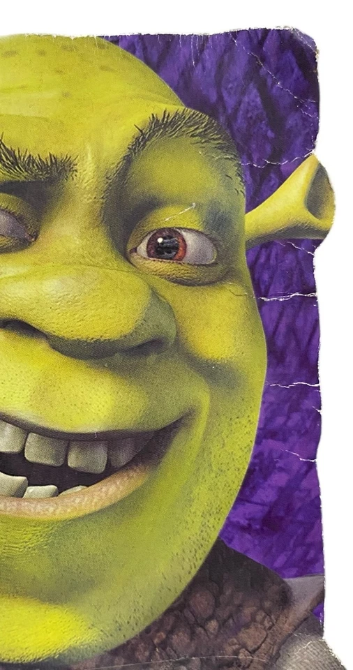 "Figura de acción Shrek Princess Fiona 6"" pateando piernas McFarlane Toys 2001 NUEVA LEER" Foto 4 de 4