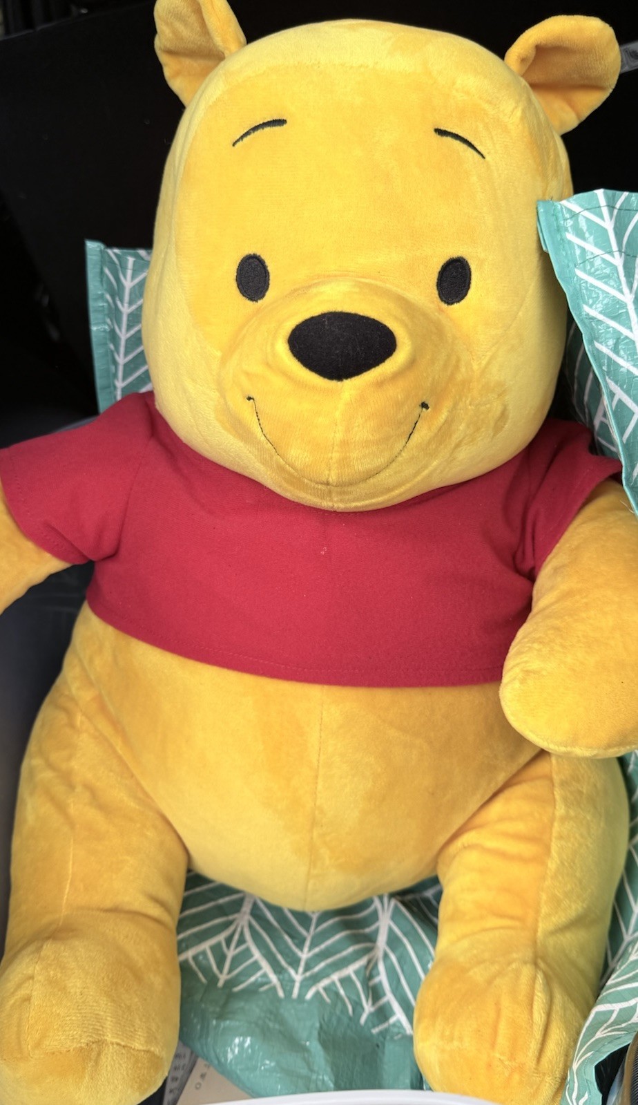Walt Disney Winnie the Pooh Large Plush Bear Stuffed Animal