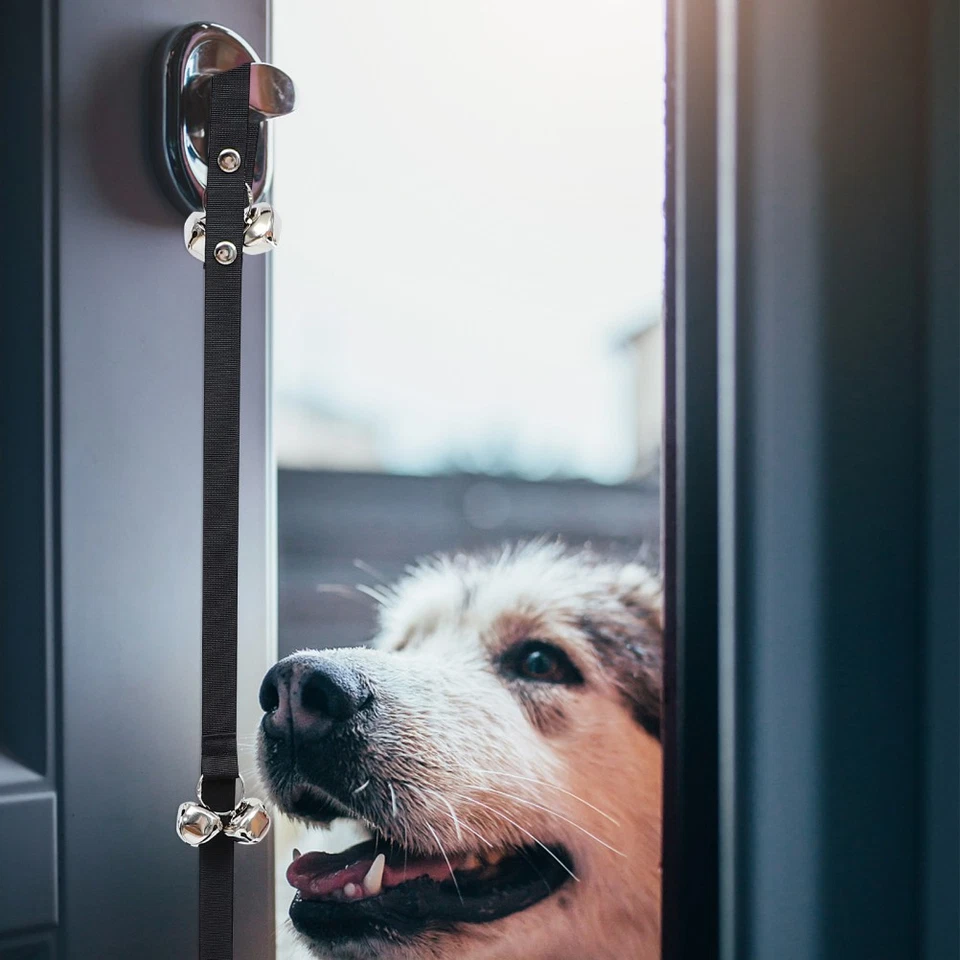 1PC SIMPLE PET BELL CORDE PREMIUM CHANGELLE CORDE PHOTO PHOTPY CORDE - Photo 2/4