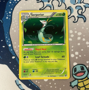 Serperior 6/114 Holo Rare Black & White Base Set Pokemon Card 2011 NM