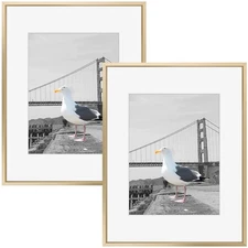 , 16x20 Metal Picture Frame with Mat for 11x14 Picture & Real Glass, Aluminum...